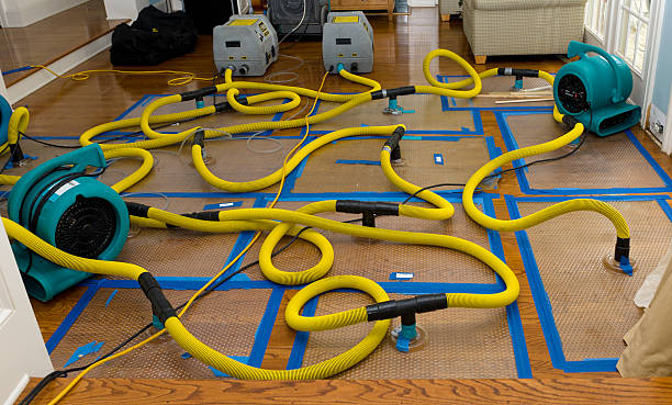 Professional Water Extraction technician working in Pinole, CA